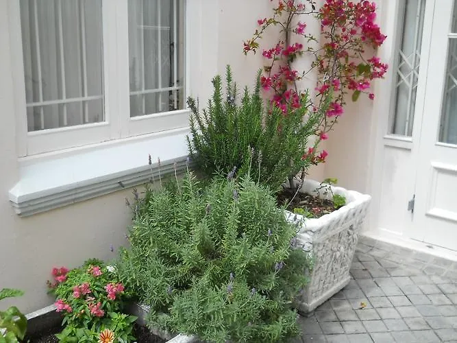 Avanti Guest House Κέιπ Τάουν